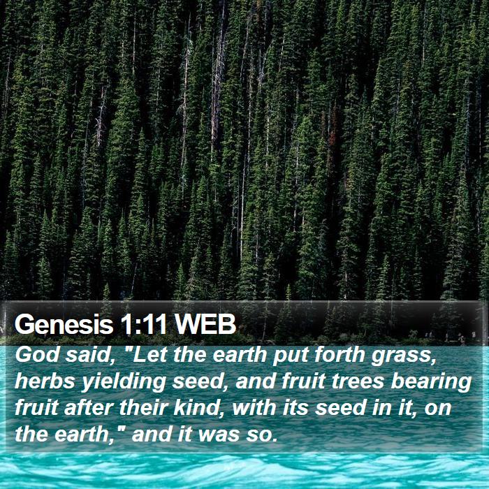 Genesis 1:11 WEB Bible Study