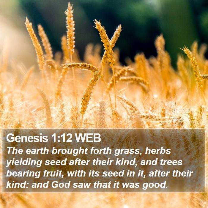 Genesis 1:12 WEB Bible Study