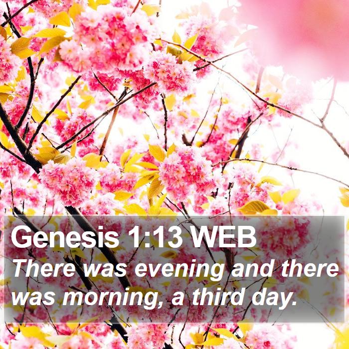 Genesis 1:13 WEB Bible Study