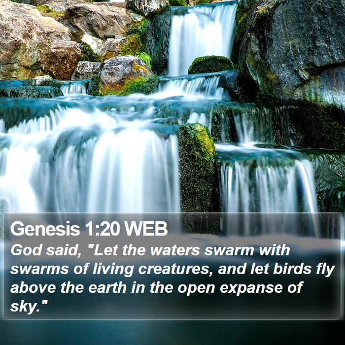 Genesis 1:20 WEB Bible Study