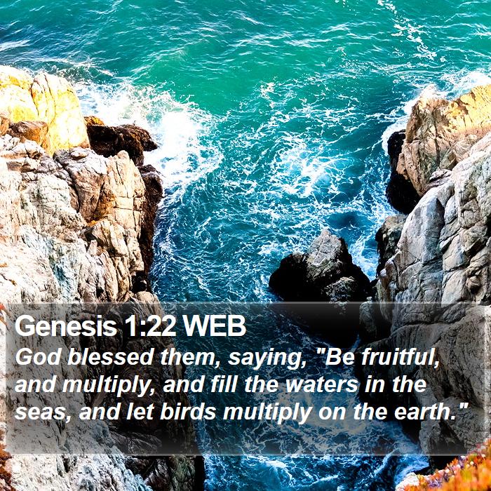 Genesis 1:22 WEB Bible Study