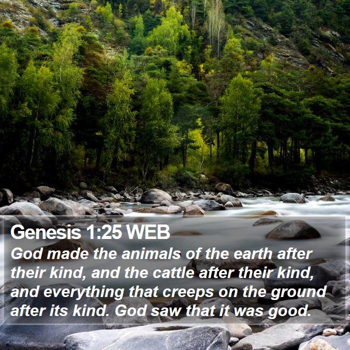 Genesis 1:25 WEB Bible Study