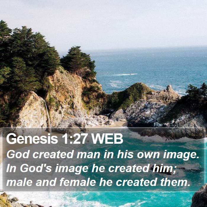 Genesis 1:27 WEB Bible Study