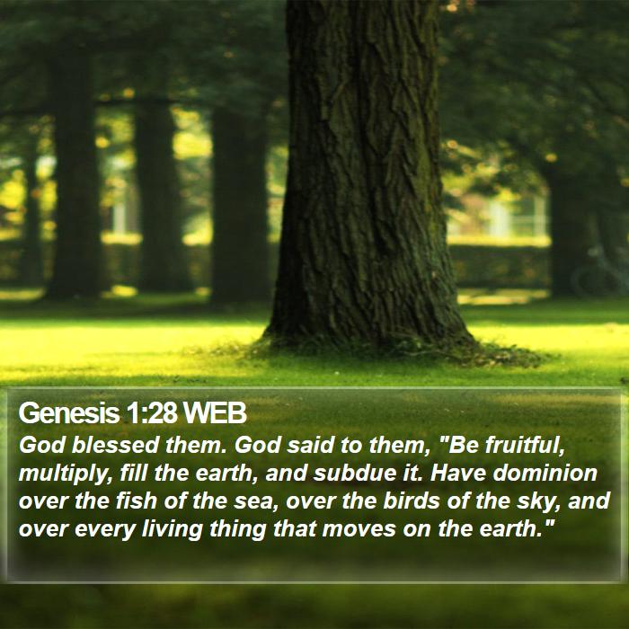 Genesis 1:28 WEB Bible Study