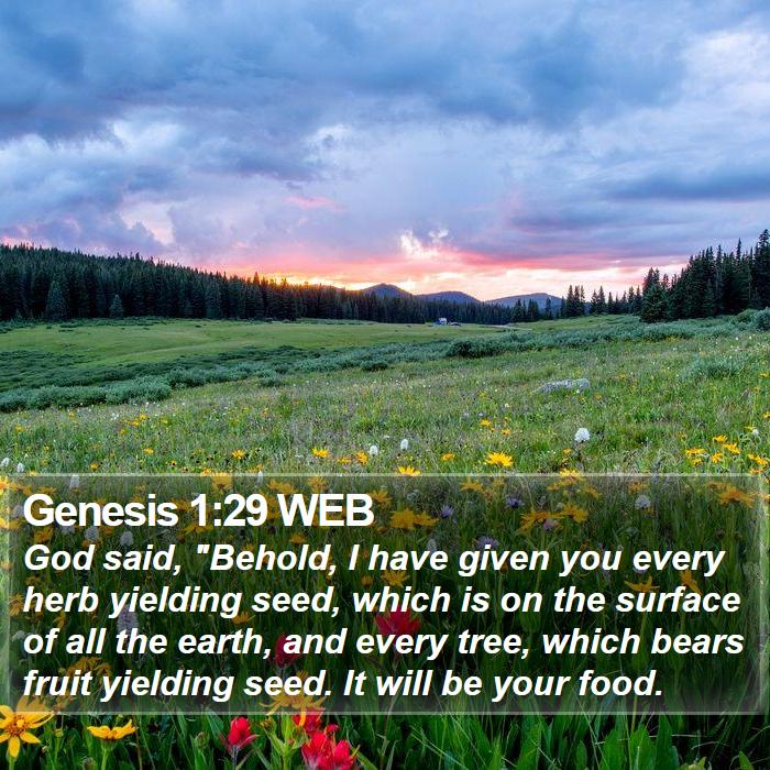 Genesis 1:29 WEB Bible Study