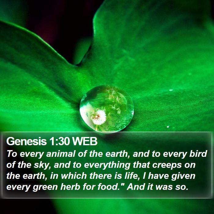 Genesis 1:30 WEB Bible Study