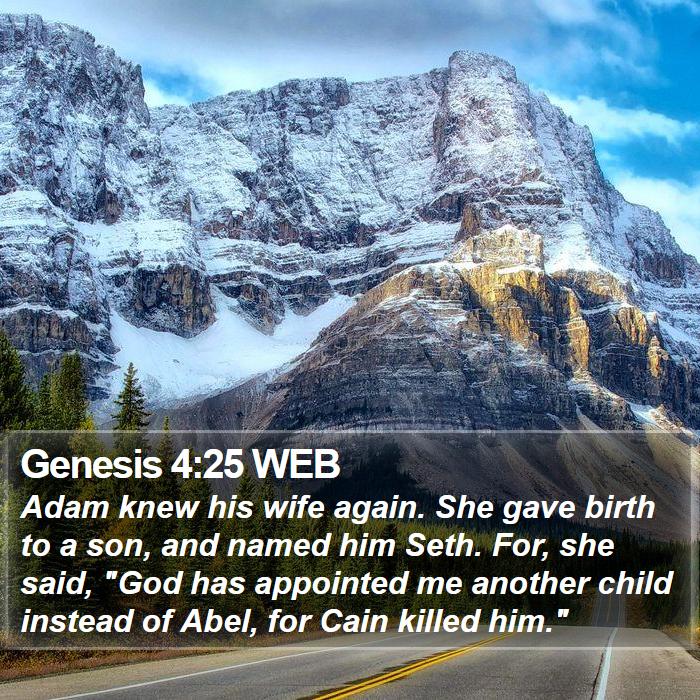 Genesis 4:25 WEB Bible Study