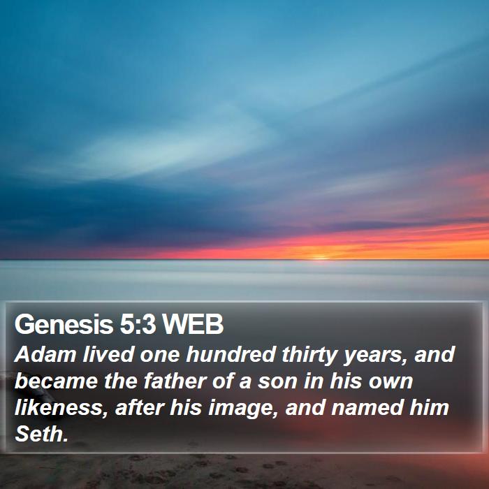 Genesis 5:3 WEB Bible Study