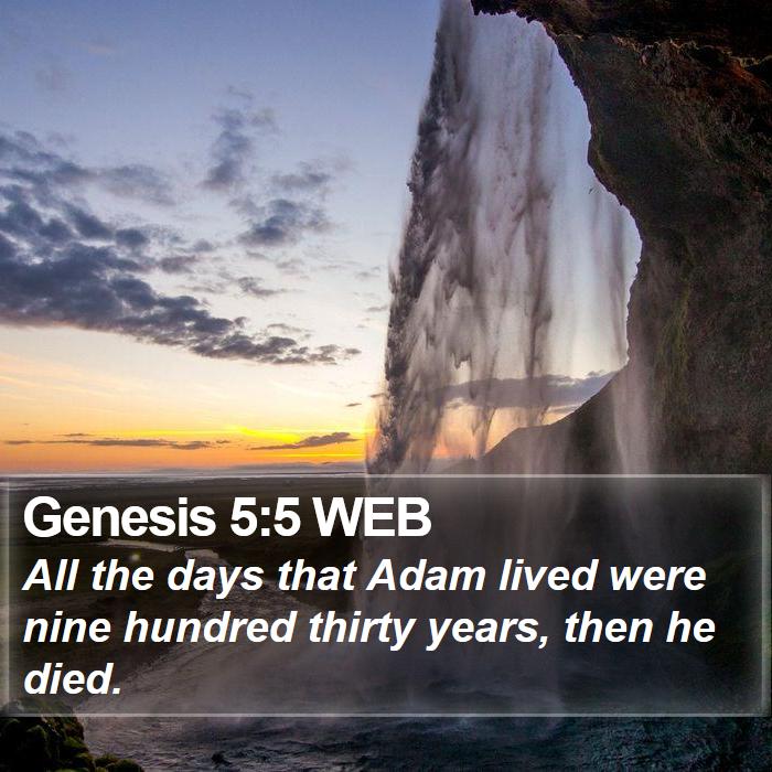 Genesis 5:5 WEB Bible Study