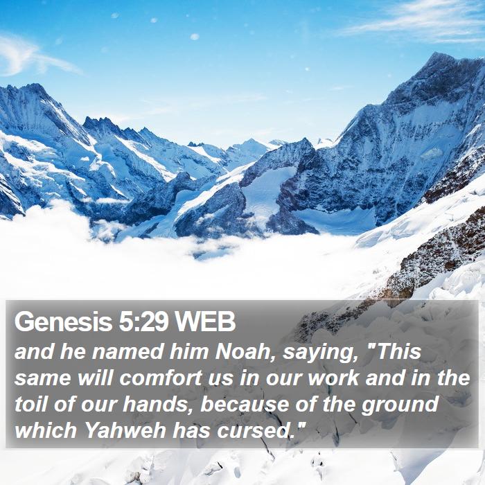 Genesis 5:29 WEB Bible Study