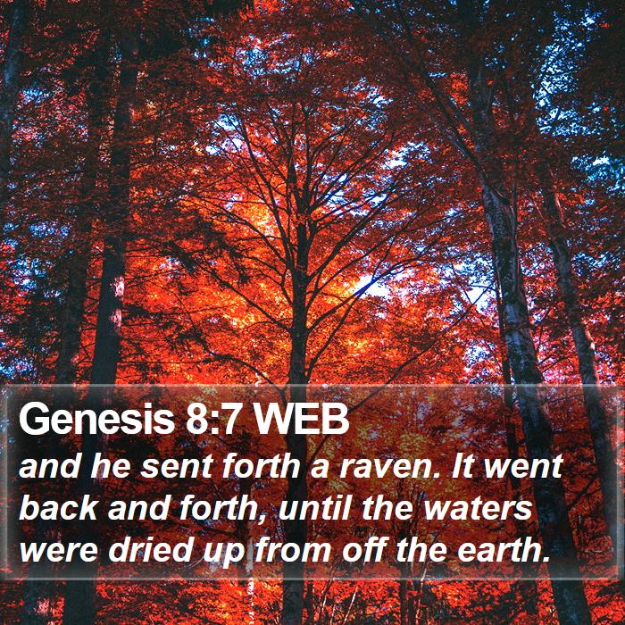 Genesis 8:7 WEB Bible Study