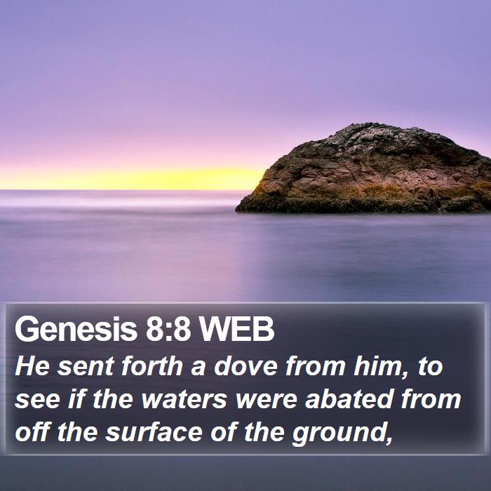 Genesis 8:8 WEB Bible Study