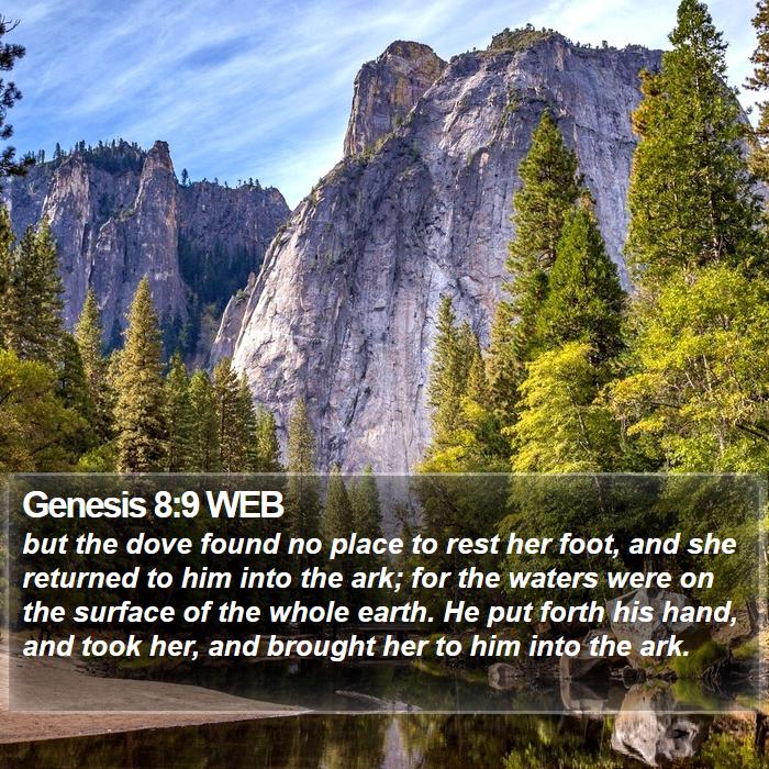 Genesis 8:9 WEB Bible Study