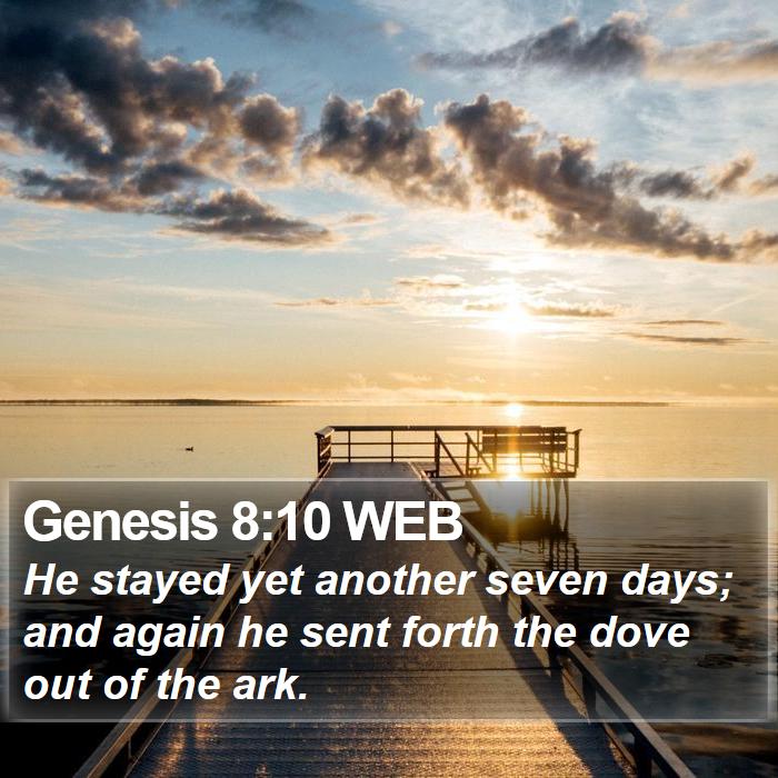 Genesis 8:10 WEB Bible Study