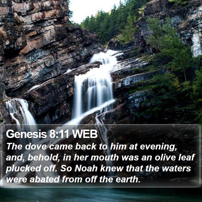 Genesis 8:11 WEB Bible Study