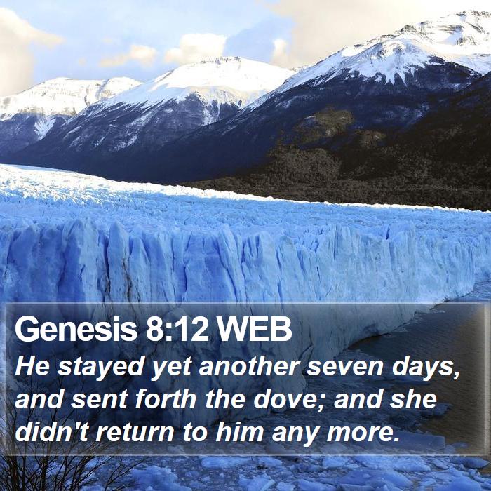 Genesis 8:12 WEB Bible Study