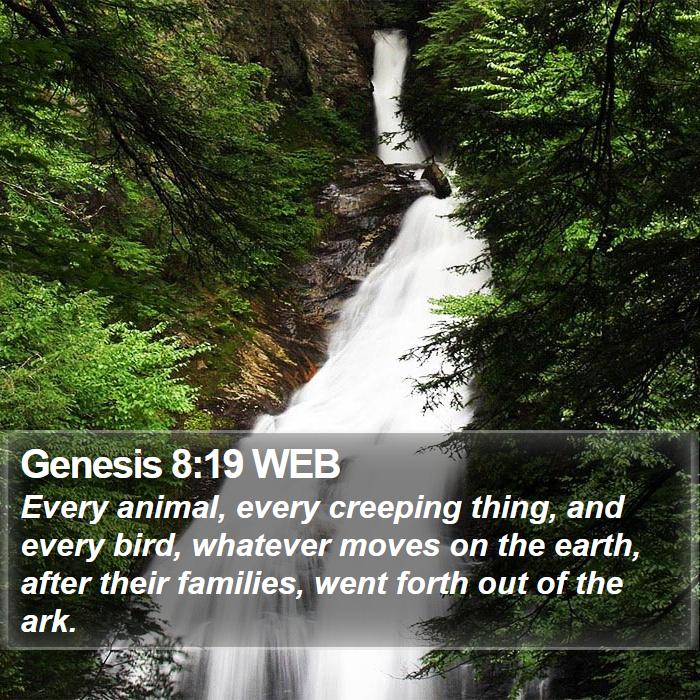 Genesis 8:19 WEB Bible Study