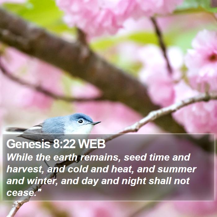 Genesis 8:22 WEB Bible Study