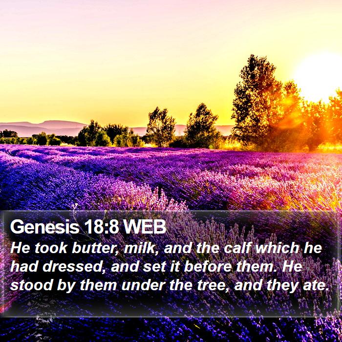 Genesis 18:8 WEB Bible Study