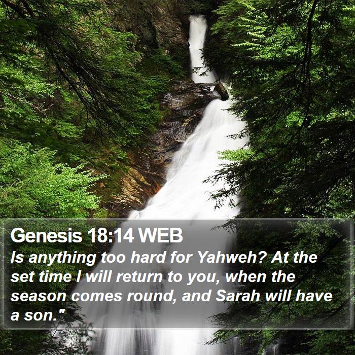 Genesis 18:14 WEB Bible Study