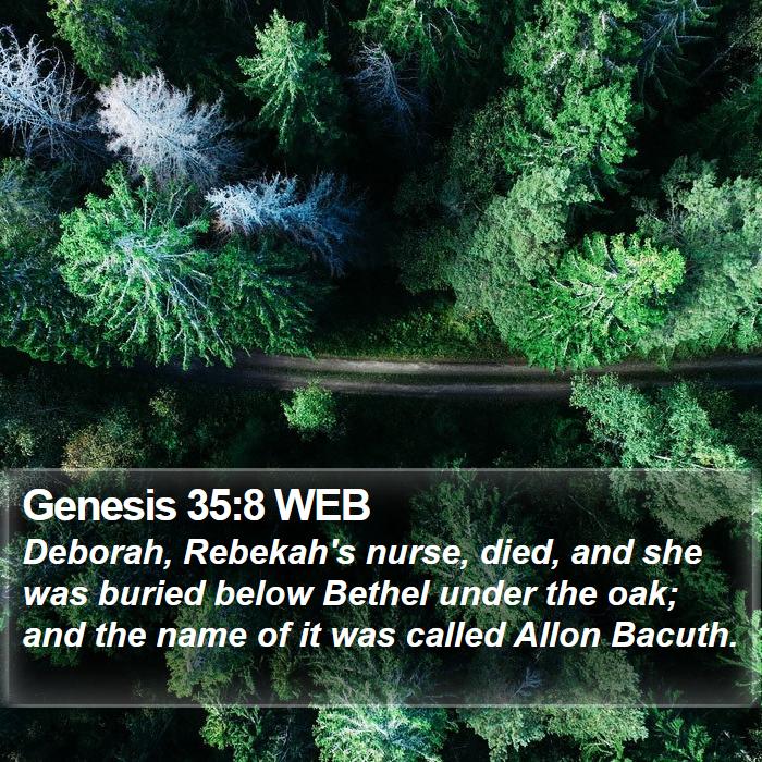 Genesis 35:8 WEB Bible Study