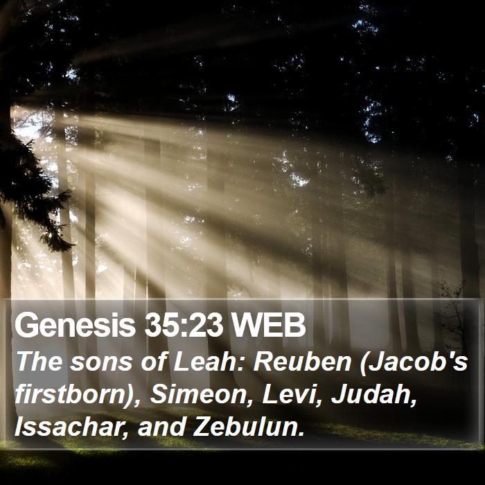 Genesis 35:23 WEB Bible Study