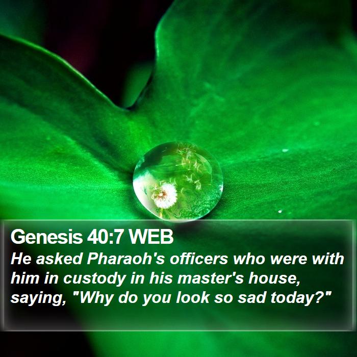 Genesis 40:7 WEB Bible Study