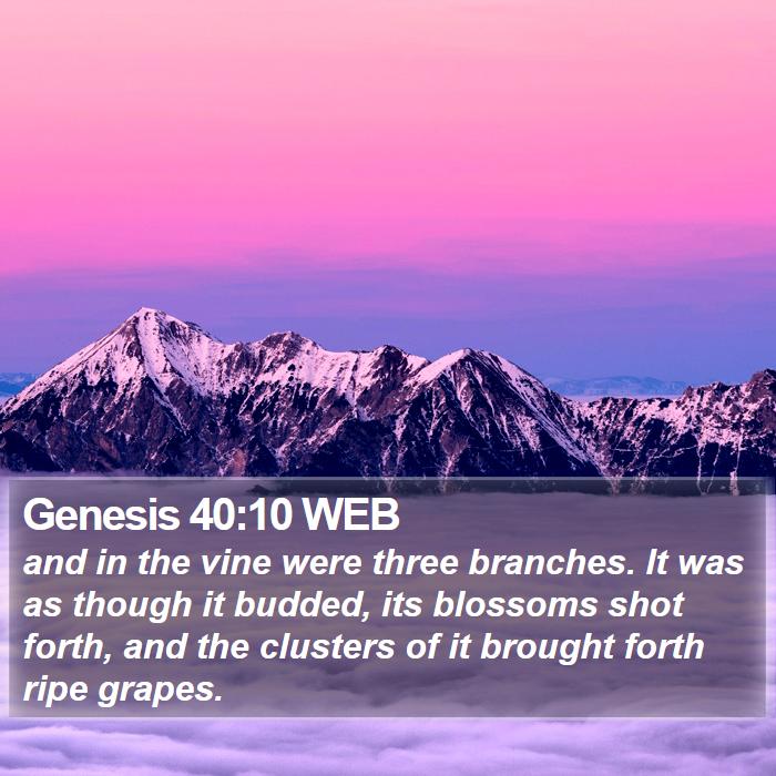 Genesis 40:10 WEB Bible Study