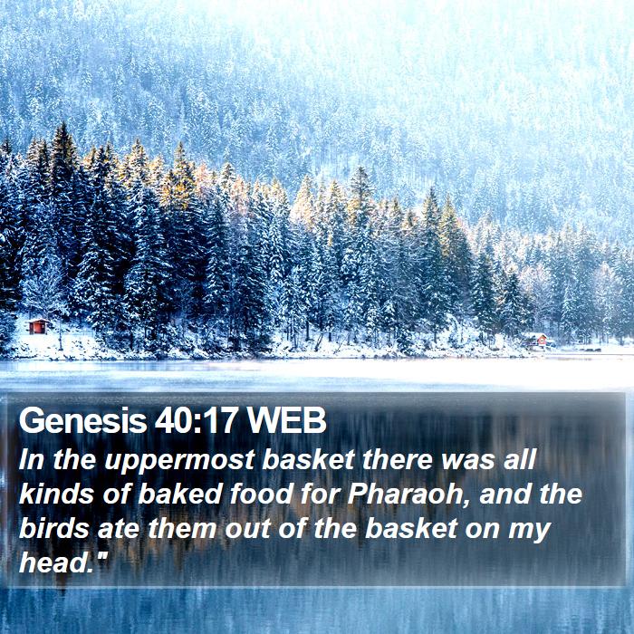 Genesis 40:17 WEB Bible Study