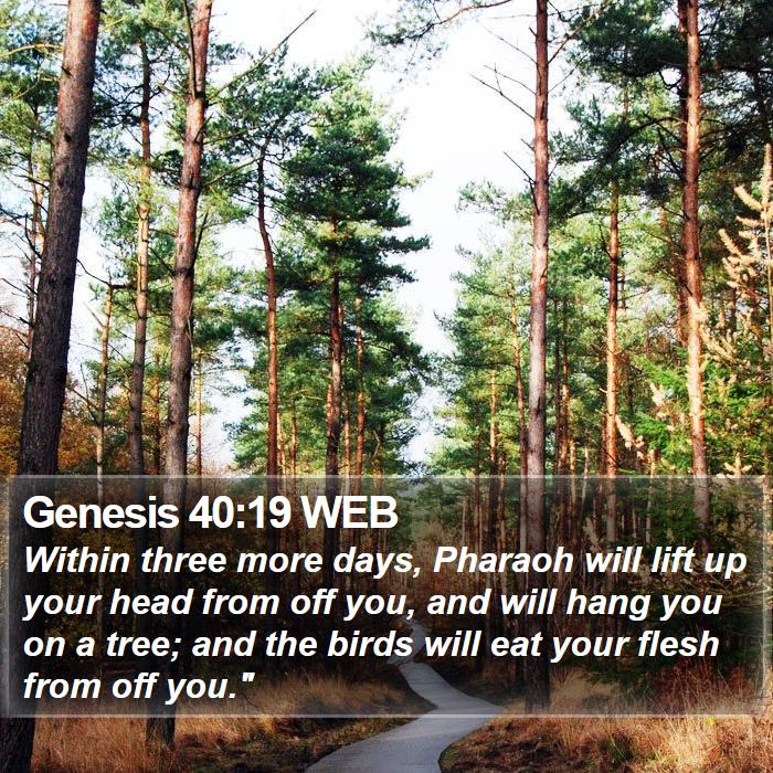 Genesis 40:19 WEB Bible Study