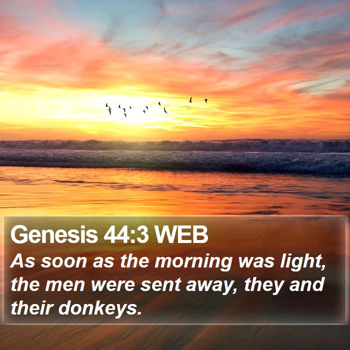 Genesis 44:3 WEB Bible Study