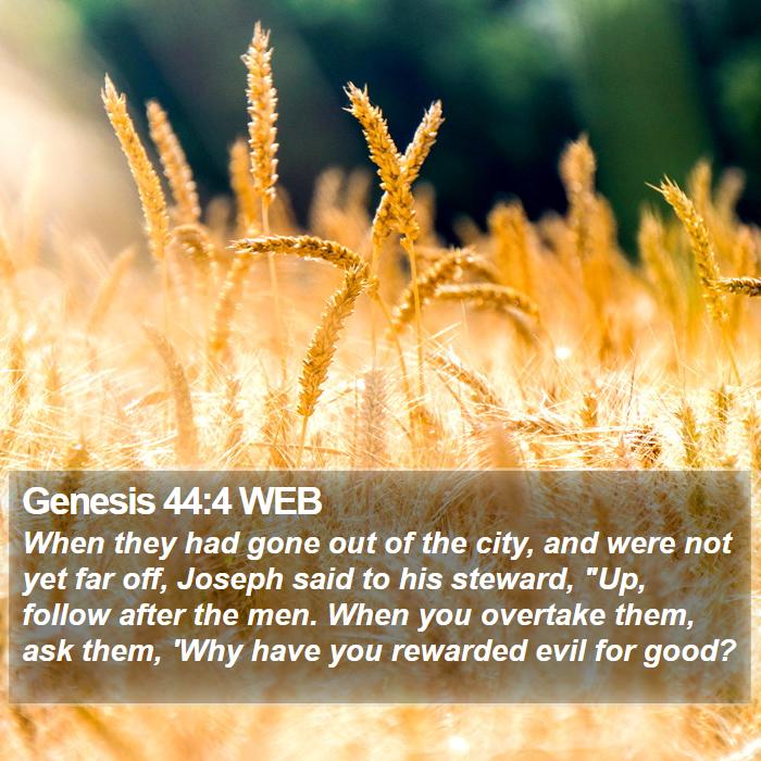 Genesis 44:4 WEB Bible Study