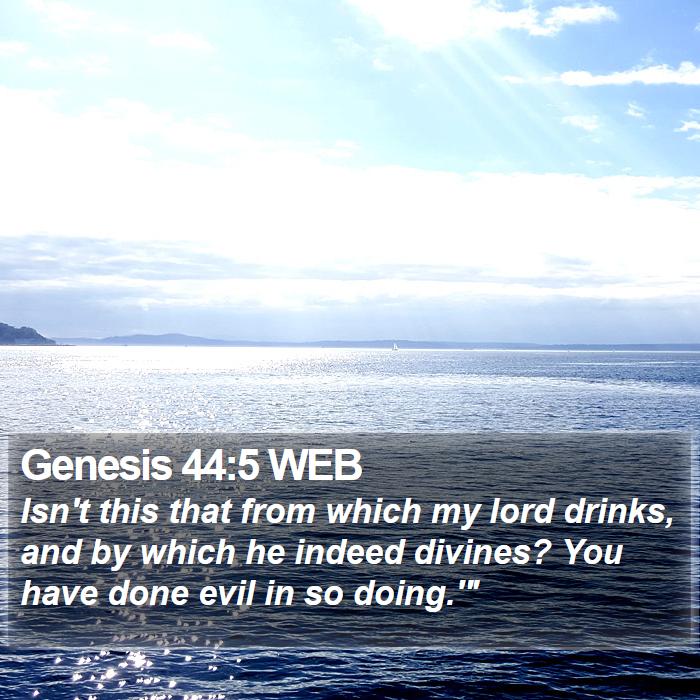 Genesis 44:5 WEB Bible Study