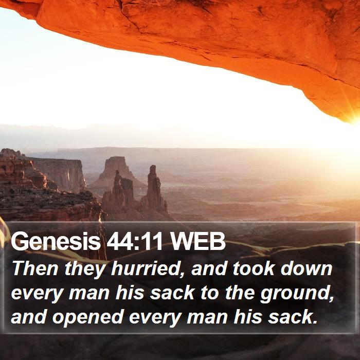 Genesis 44:11 WEB Bible Study