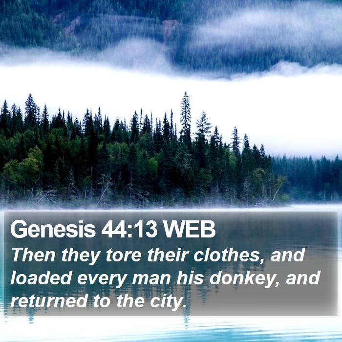 Genesis 44:13 WEB Bible Study