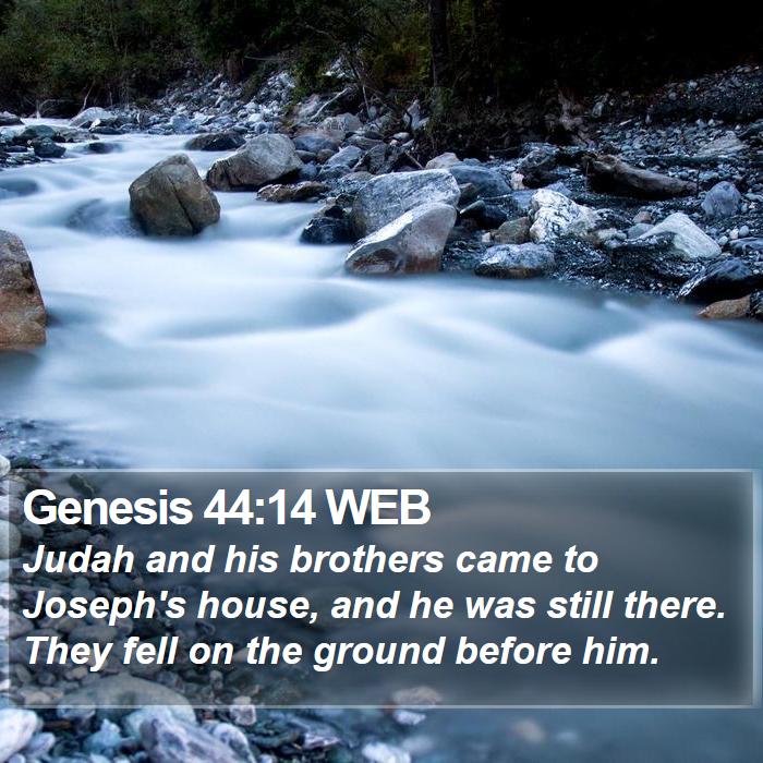 Genesis 44:14 WEB Bible Study