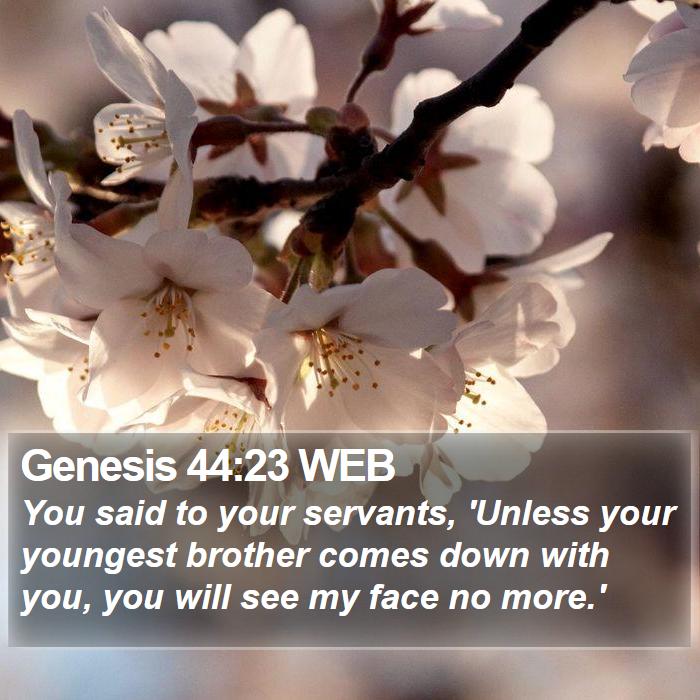 Genesis 44:23 WEB Bible Study