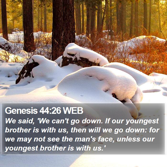 Genesis 44:26 WEB Bible Study