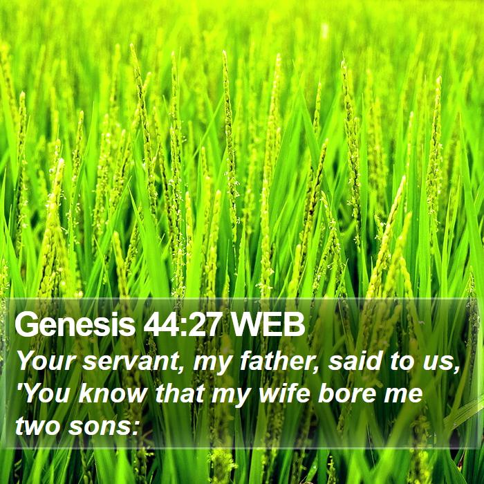 Genesis 44:27 WEB Bible Study