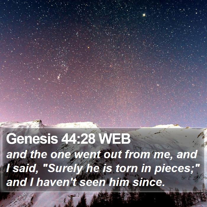 Genesis 44:28 WEB Bible Study