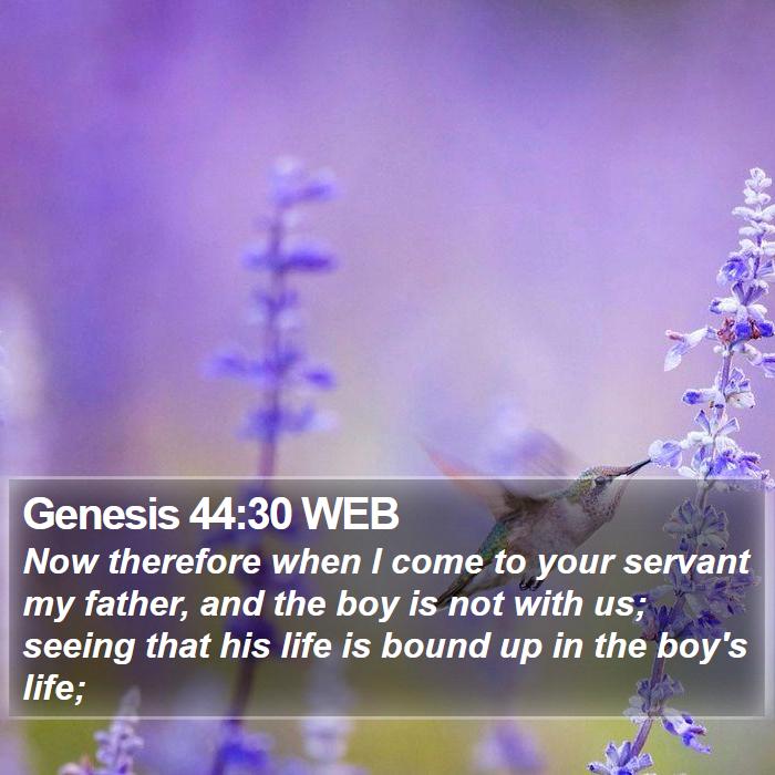 Genesis 44:30 WEB Bible Study