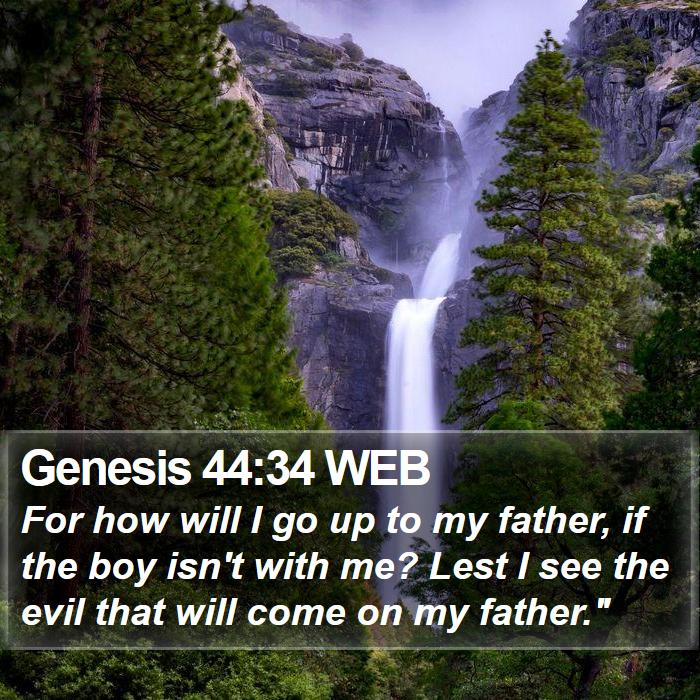 Genesis 44:34 WEB Bible Study