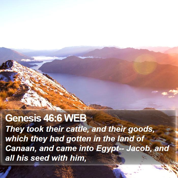 Genesis 46:6 WEB Bible Study