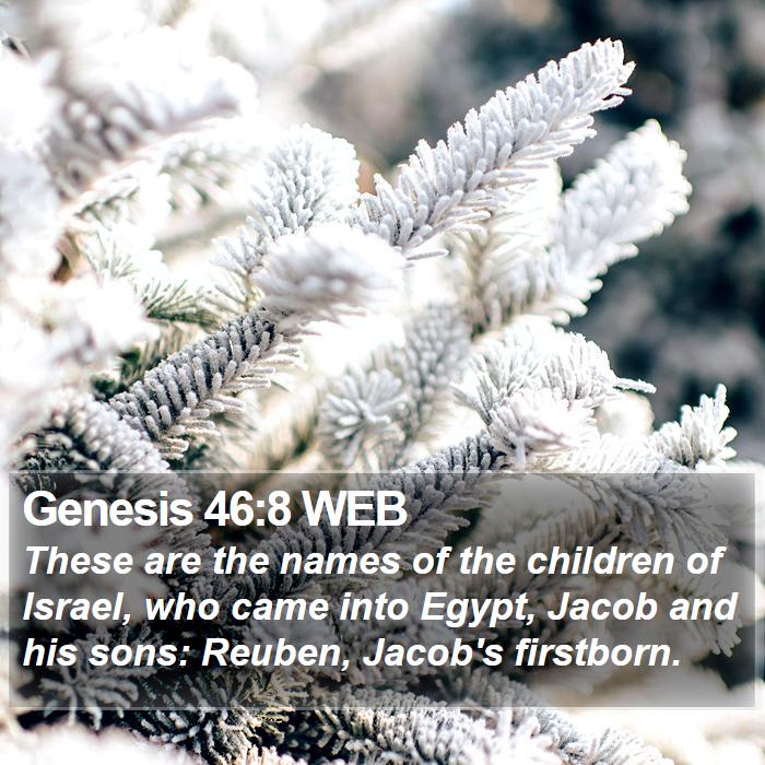 Genesis 46:8 WEB Bible Study