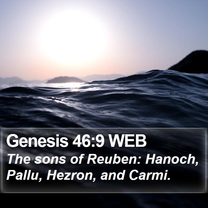 Genesis 46:9 WEB Bible Study