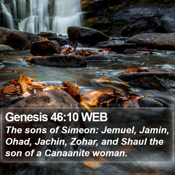 Genesis 46:10 WEB Bible Study