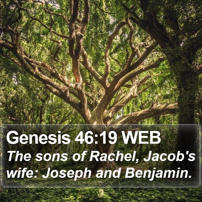 Genesis 46:19 WEB Bible Study