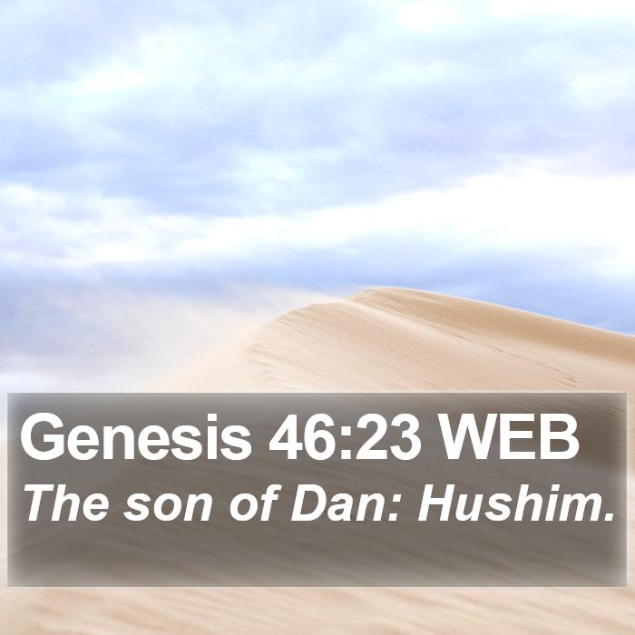 Genesis 46:23 WEB Bible Study