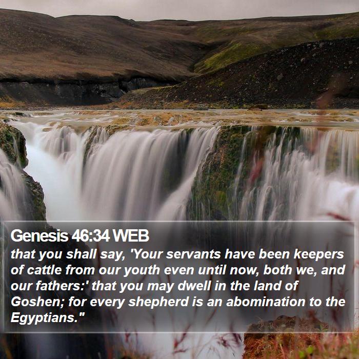 Genesis 46:34 WEB Bible Study