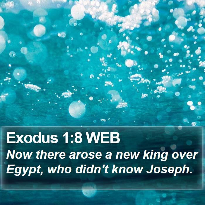 Exodus 1:8 WEB Bible Study